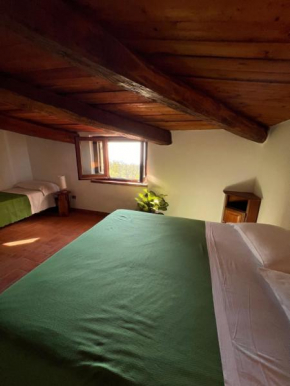 Agriturismo Difesa del Monte